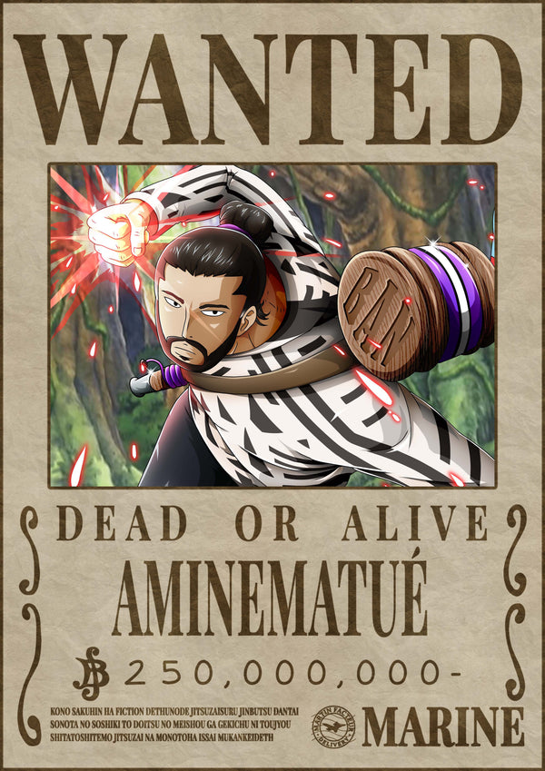 Poster Wanted Amine