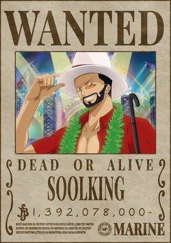 Poster Wanted Soolking - Martin Facteur